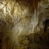 NZ Waitomo caves 9238